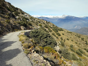 Sierra Nevada